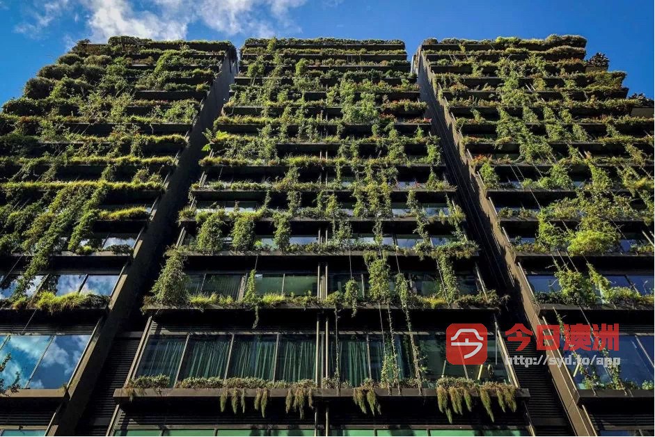 今日墨尔本Chippendale Central Park studio包bill家具招租随时入住 Chippendale Central Park studio包bill家具招租随时入住