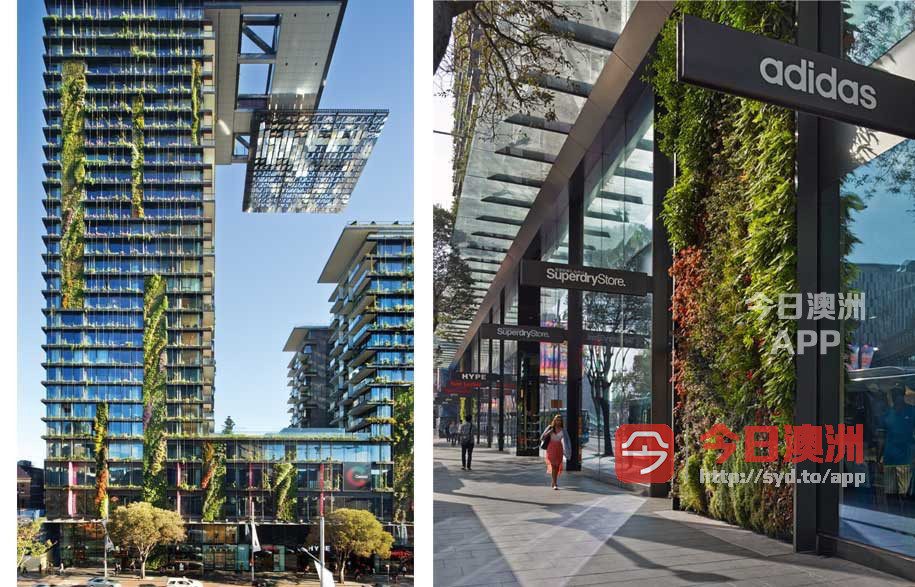 今日墨尔本Chippendale Central Park studio包bill家具招租随时入住 Chippendale Central Park studio包bill家具招租随时入住