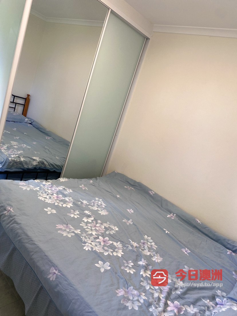 今日珀斯Hurstville HV近新装修House单间招一女生或小couple Hurstville HV近新装修House单间招一女生或小couple