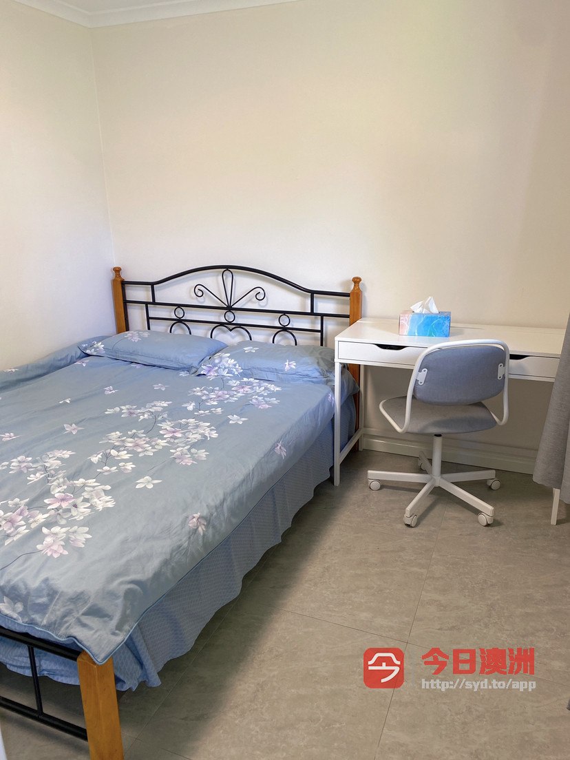 今日珀斯Hurstville HV近新装修House单间招一女生或小couple Hurstville HV近新装修House单间招一女生或小couple