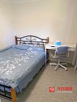 Hurstville HV近新装修House单间招一女生或couple