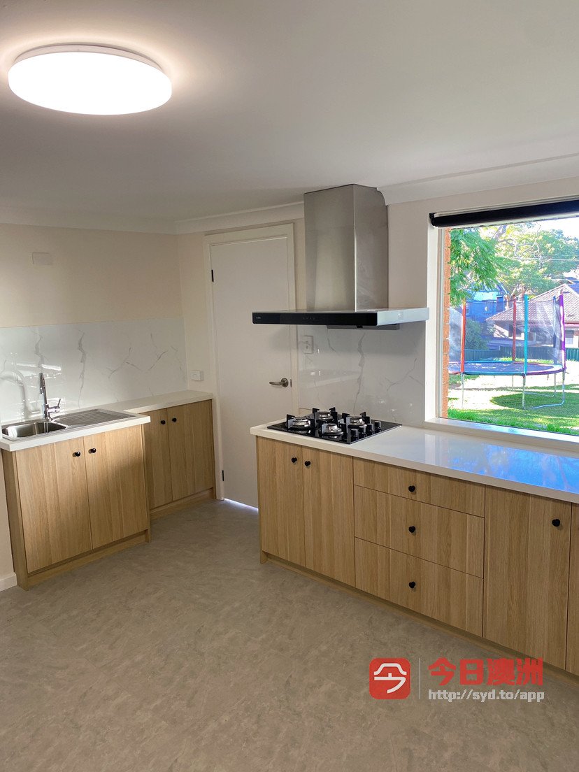 今日珀斯Hurstville HV近新装修House单间招一女生或小couple Hurstville HV近新装修House单间招一女生或小couple