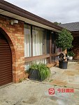 Greenacre 两房出租 环境好 交通方便 近Burwood Strathfield