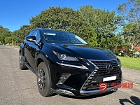 Lexus 2019年 NX 20L 自动