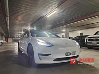 Tesla 2019年 其他 14L 自动