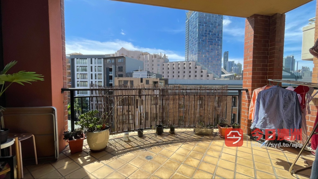今日悉尼Pyrmont 1x Bedrooms with Balcony available in Pyrmont 1x Bedrooms with Balcony available in