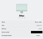Mint Green iMac M1 2021