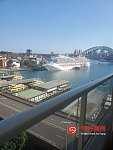 Sydney 4月18日11点半可看房City看海港大桥豪宅分租单间