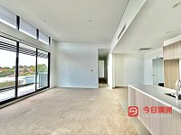 Ashfield 近city临华人区 直达大学 先到先得 即可入住4室Penthouse整租1600