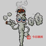 420叶子周边