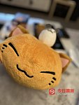 日本猫咪酱kitty 毛绒玩具 全新 10刀 娃娃