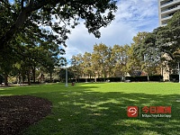 Chippendale central park草楼车位出租