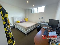 悉尼burwood 公寓2b2b低价出租