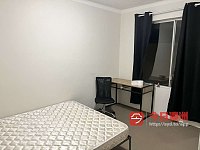 Glebe 悉尼带房找室友2b1b1p拎包入住