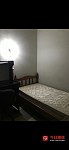 Ashfield   小房间招租