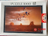 1000 片智力拼图玩具