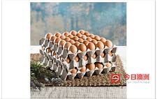 出售600700克雞蛋