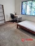 Burwood  单间步行2分钟Westfield 超级方便