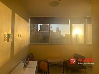 Haymarket 悉尼中心 cbd 1b1b 一房整租790 唐人街 city Central   近uts