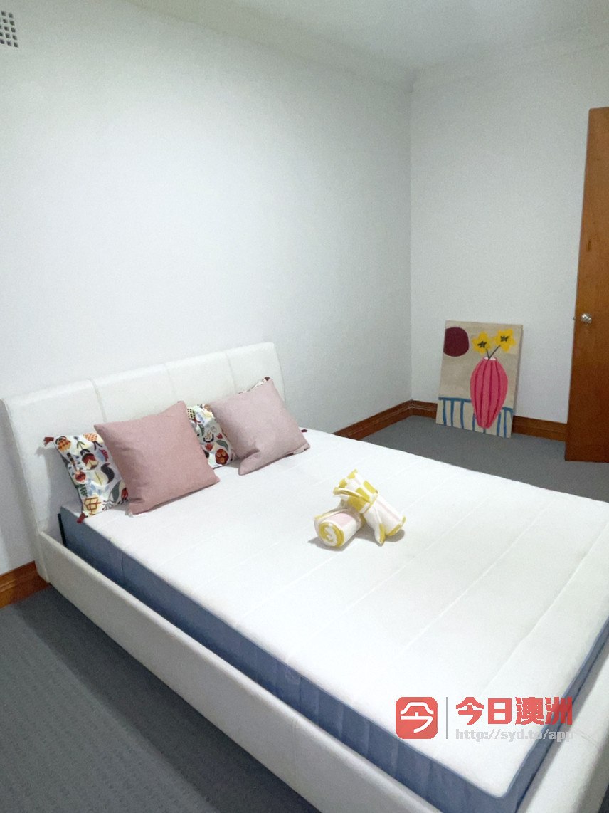 今日悉尼Forest Lodge 仅3XX步行六分钟到悉尼大学单间出租 Forest Lodge 仅3XX步行六分钟到悉尼大学单间出租