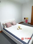 Forest Lodge 仅3XX步行六分钟到悉尼大学单间出租