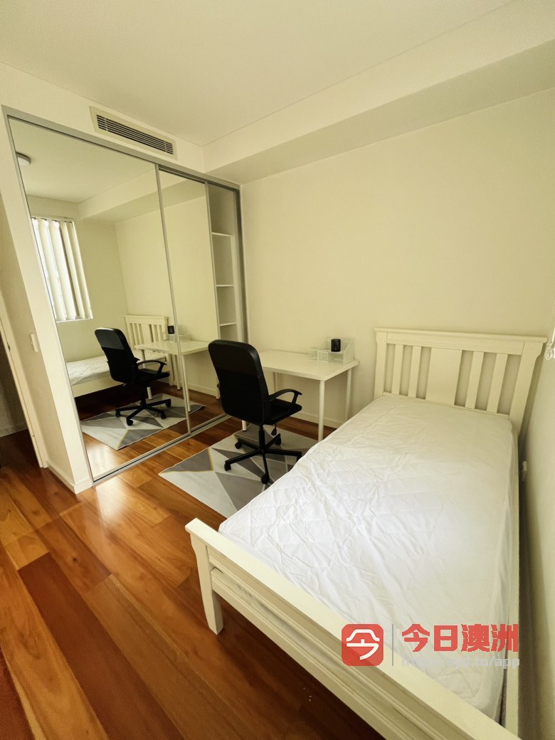 今日悉尼Epping 单间出租 Epping 单间出租