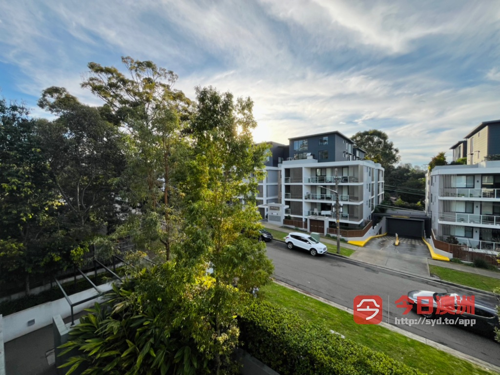 今日悉尼Epping 单间出租 Epping 单间出租