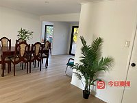 Sunnybank Hills 分租招租