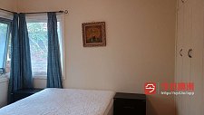 Epping               单房出租