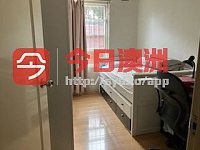 Strathfield   近车站宽敞公寓单间出租