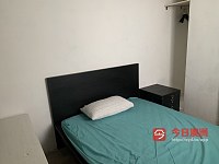 Sydney  1房一厅独立studio 悉尼市中心地带包家具bills