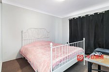Burwood 悉尼burwood  1b1b整租