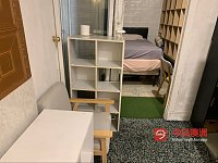 Paddington SYDNEY Darlinghurst 1房独立Studio 包家电家具 bills全包