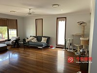 North Rocks 近Carlinford区  单间出租