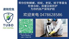  布里斯班TuboPestControl 速效控虫 白蚁防护
