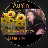 AuYin印丽娜印成功如亿