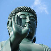 土澳居民t2Lpc