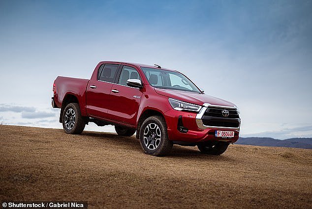 A range of electric utes will soon hit the market, with the light commercial vehicle's sales down