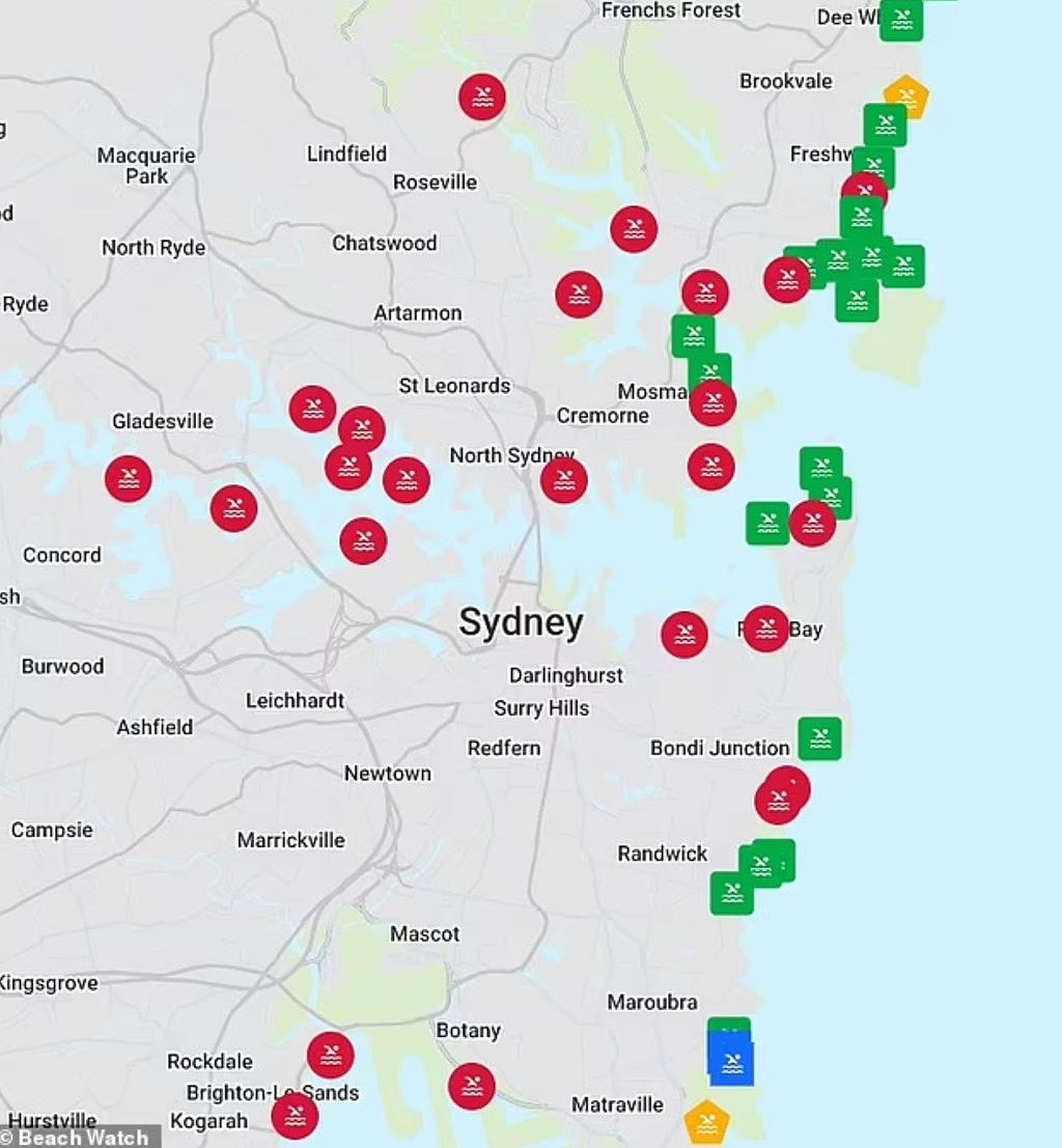 注意！悉尼56处海滩严重污染，不适宜下水游泳，政府发健康警告（组图） - 2