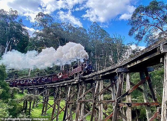 Puffing Billy's open-sided carriages provide an immersive experience, allowing passengers to feel the crisp mountain air and hear the rhythmic chugging of the steam engine