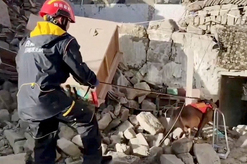 A person in rescue gear holding the lead of a dog sniffing at a doorway amid rubble.