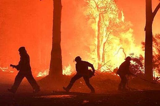 Raging flames in a bushfire setting.