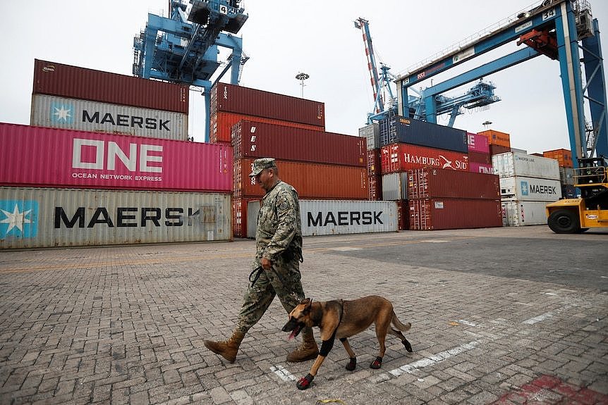 A man in a military uniform walks with a sniffer dog past shipping containers