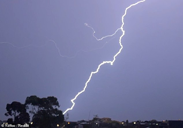 The two women had been in the yard of a semi-rural home when the lightning struck and exploded a tree and then jumped to a woman on her phone (file image)