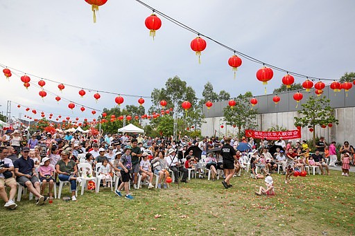 悉尼西北瑞气迎门贺新岁，烟花绽放大奖连连庆蛇年（视频/组图） - 1