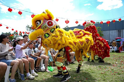 悉尼西北瑞气迎门贺新岁，烟花绽放大奖连连庆蛇年（视频/组图） - 4