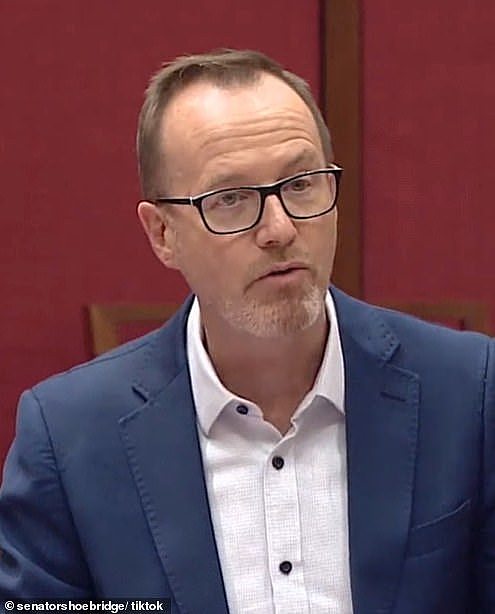 Greens Senator for NSW David Shoebridge claimed legalising cannabis would help curb the cost of living crisis as it would create billions in revenue and be 'cost effective' for Aussies