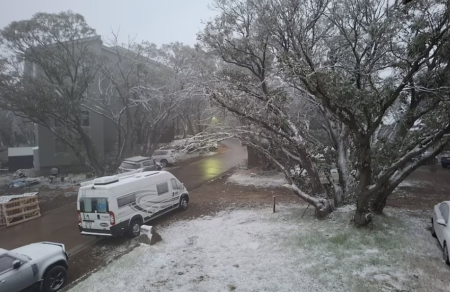 夏日飞雪！维州部分地区录得最冷2月夜晚，气温低至-3.7度（组图） - 3