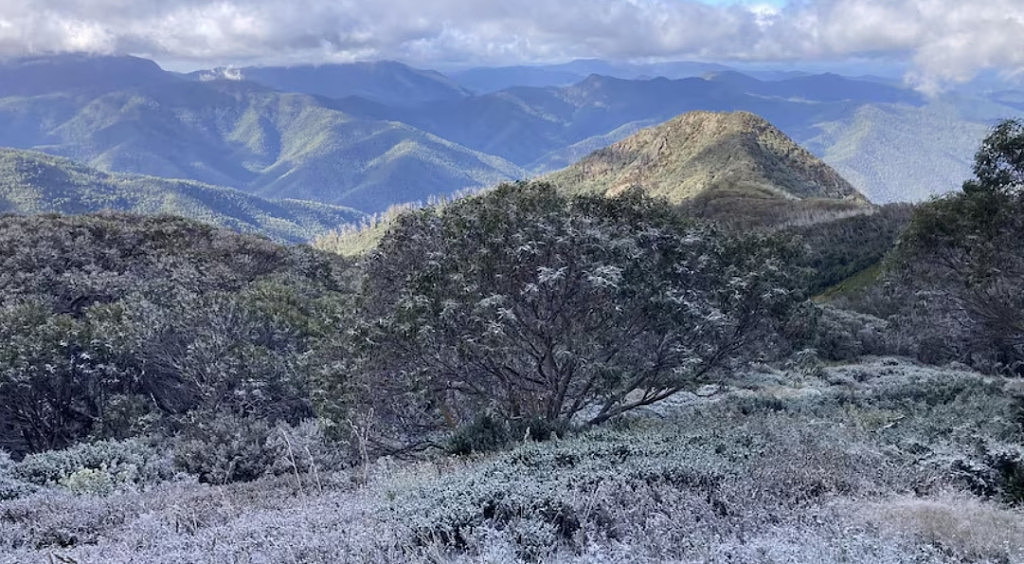 夏日飞雪！维州部分地区录得最冷2月夜晚，气温低至-3.7度（组图） - 2