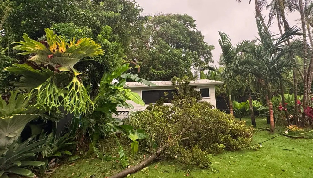 滚动更新：3个月的雨1天下完！昆州多地暴雨成灾，新州数百学校周一继续停课（视频/组图） - 27